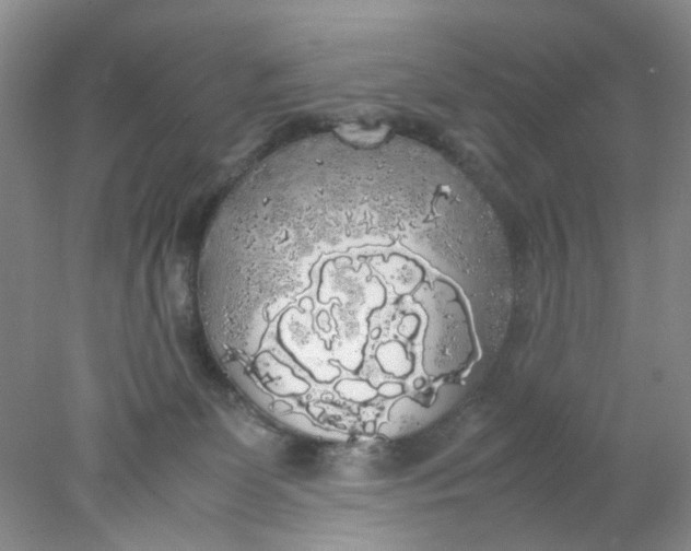 X0000078020131200611171923