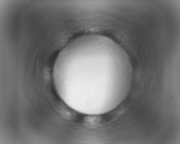 X0000078020135200611171923