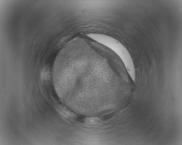 X0000078020137200611171923