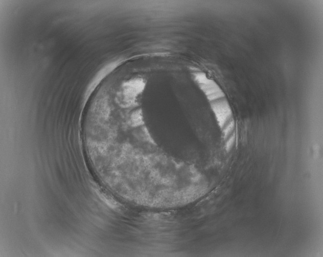 X0000078020147200611171922