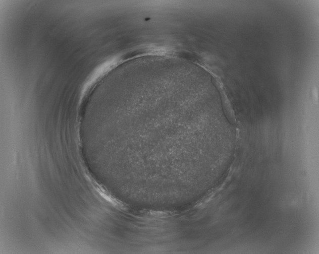 X0000078020149200611171922