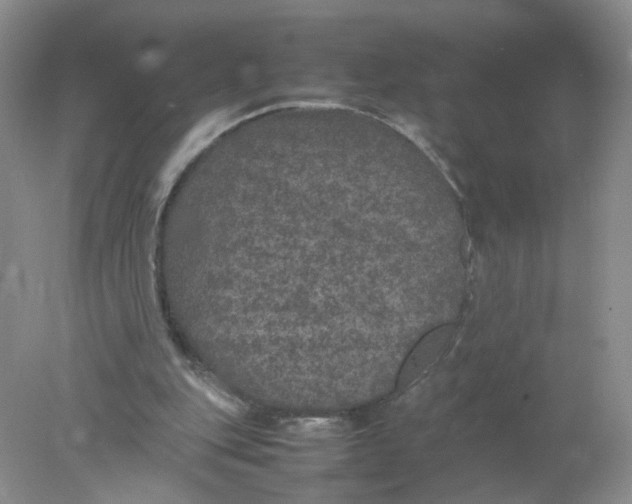 X0000078020151200611171922