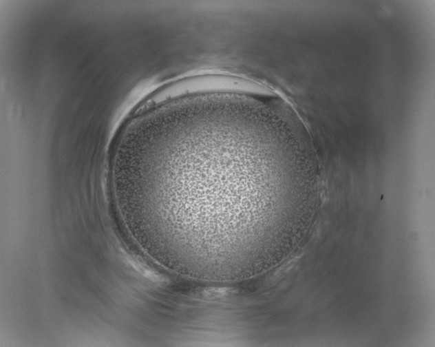 X0000078020152200611171922