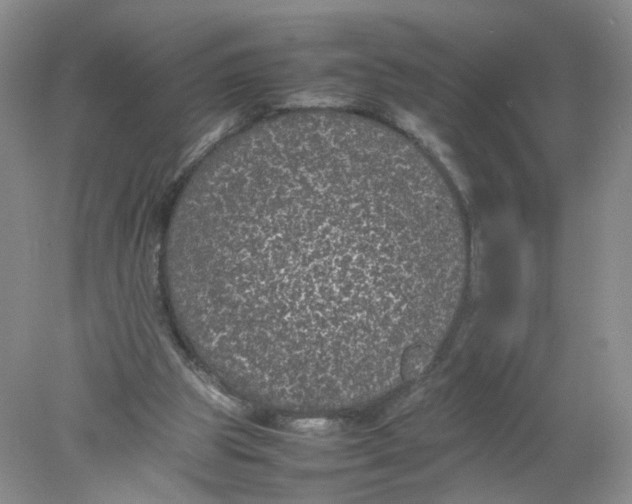 X0000078020153200611171922