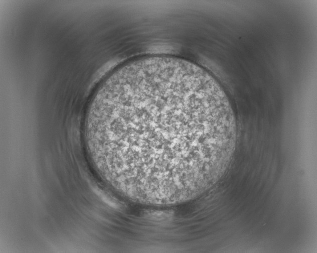 X0000078020155200611171922