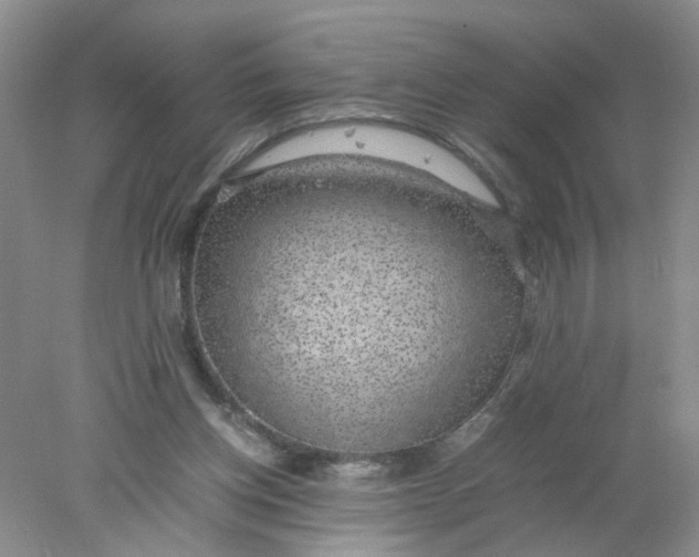 X0000078020158200611171922