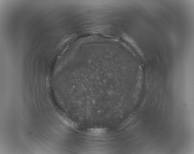 X0000078020161200611171922