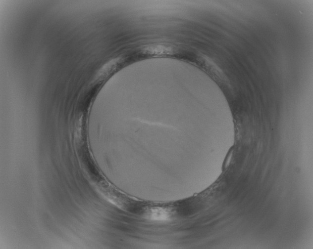 X0000078020163200611171922