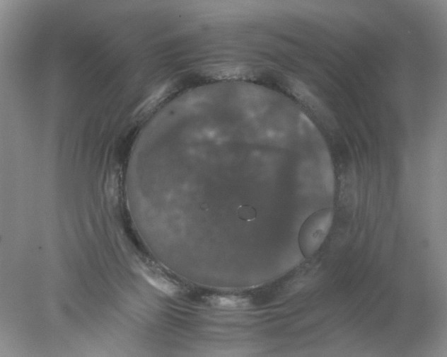 X0000078020165200611171922