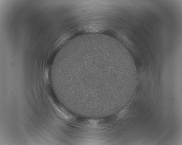 X0000078020166200611171922