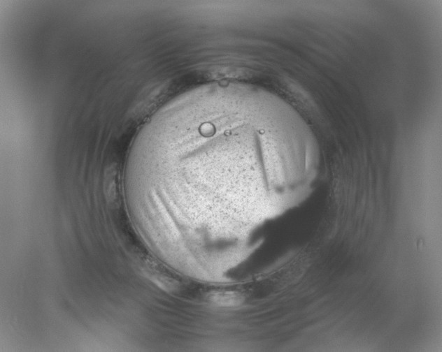 X0000078020169200611171922