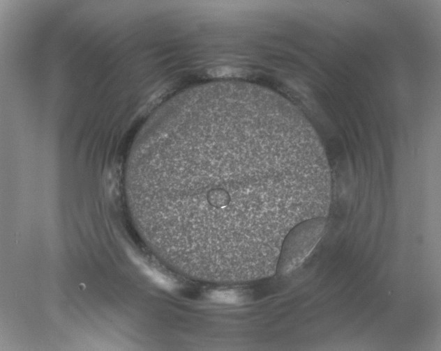 X0000078020171200611171922