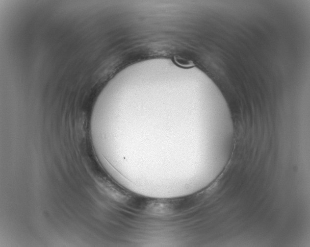 X0000078020174200611171922