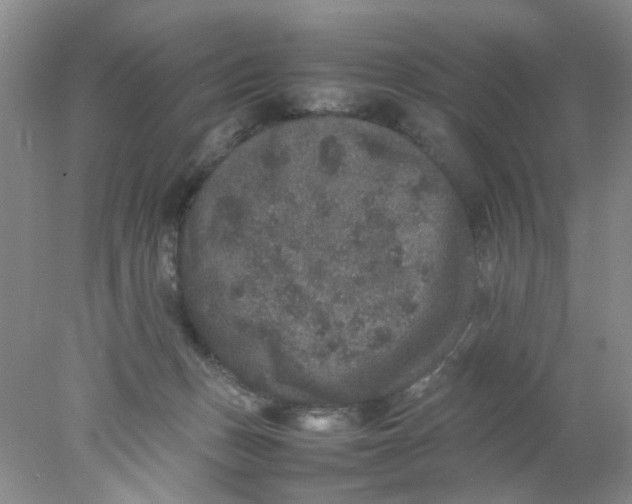 X0000078020175200611171922