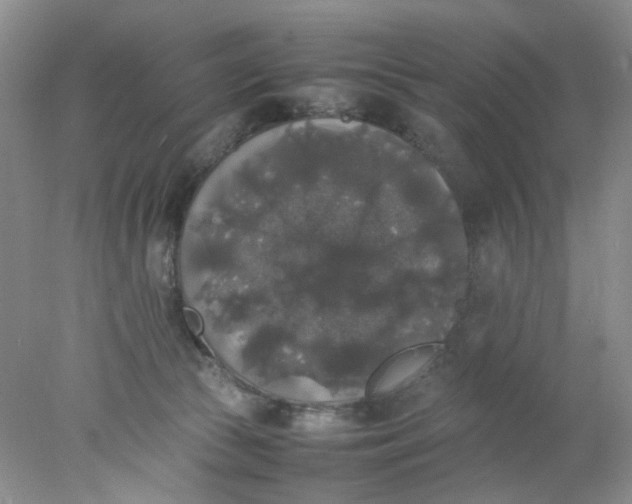 X0000078020177200611171922