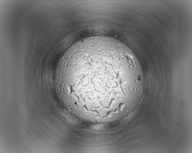 X0000078020178200611171922