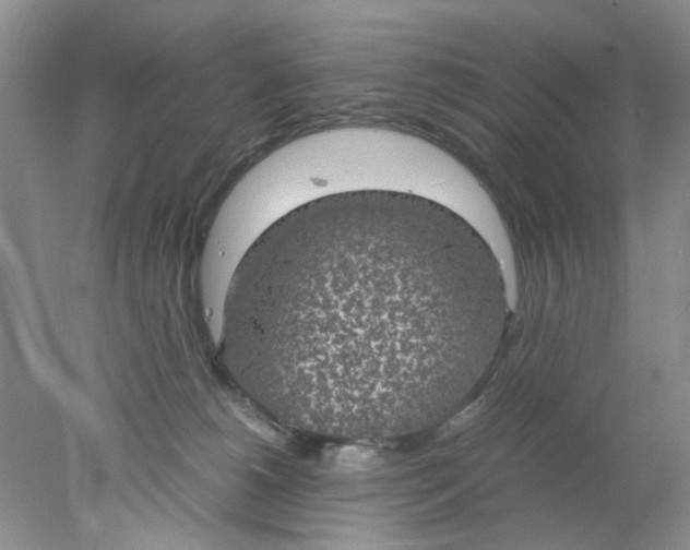 X0000078020180200611171922