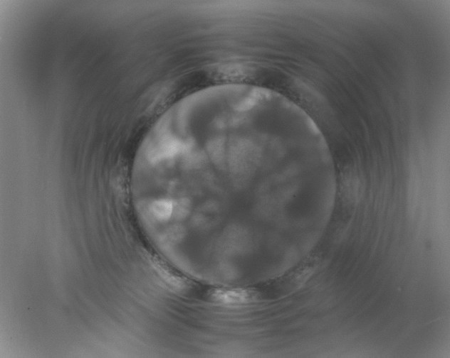 X0000078020181200611171922