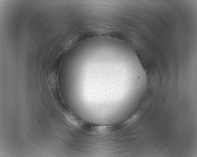 X0000078020184200611171922