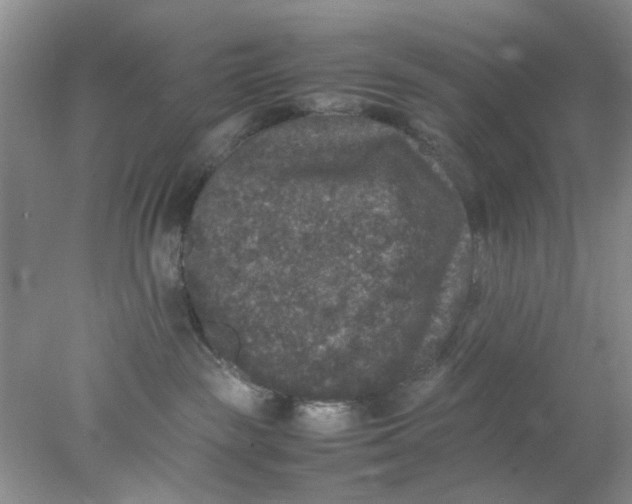 X0000078020189200611171922