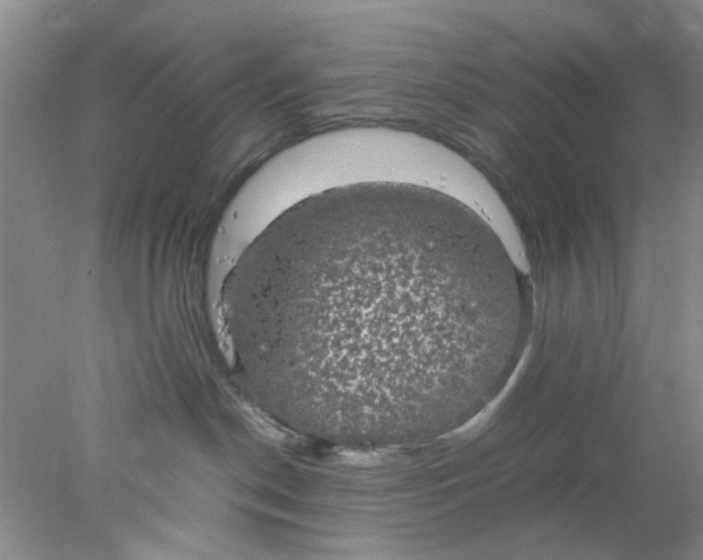 X0000078020190200611171922