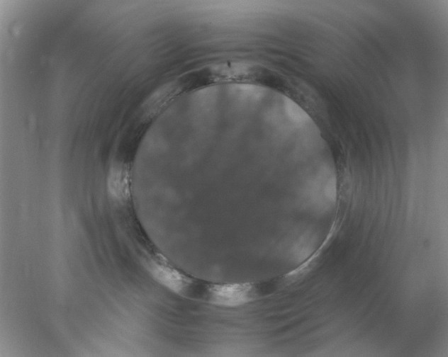 X0000078020191200611171922