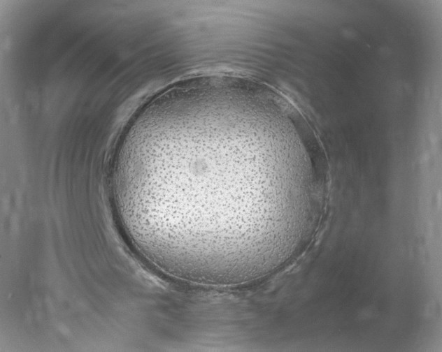 X0000078020193200611171922