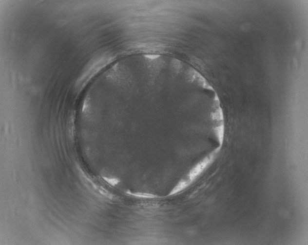 X0000078020194200611171922