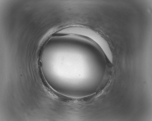 X0000078020197200611171922