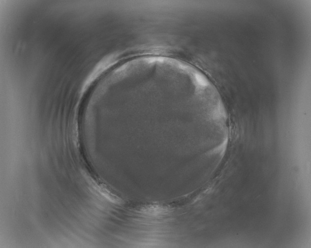 X0000078020198200611171922