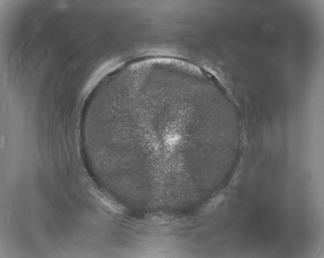 X0000078020199200611171922