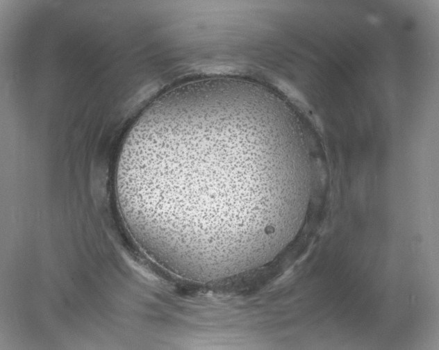 X0000078020201200611171921