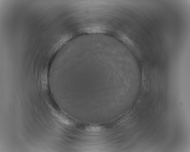 X0000078020202200611171921