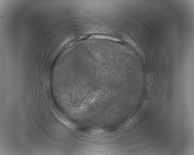 X0000078020203200611171921