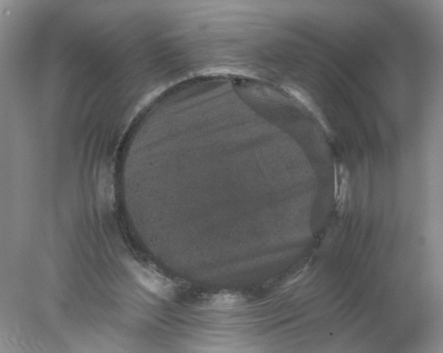 X0000078020204200611171921