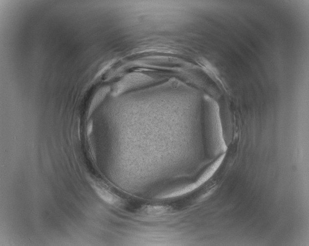 X0000078020205200611171921