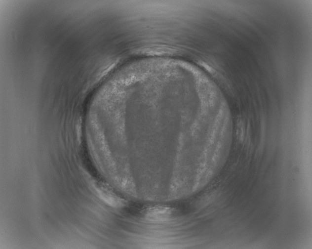 X0000078020206200611171921