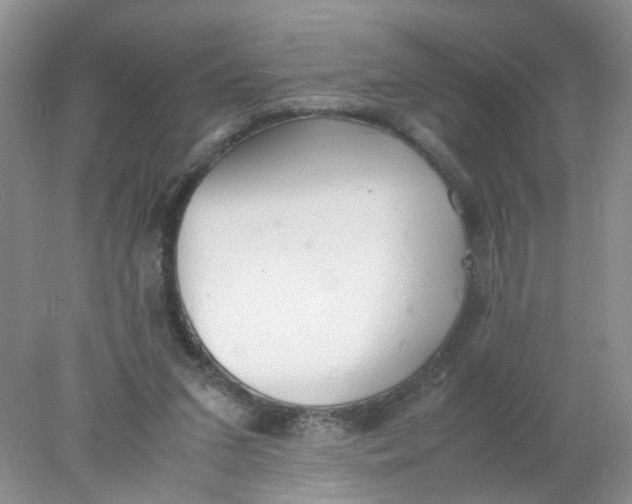 X0000078020207200611171921