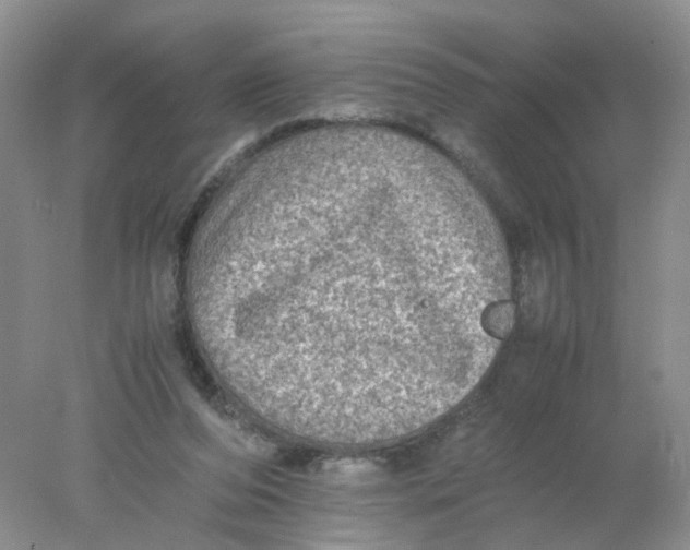 X0000078020208200611171921