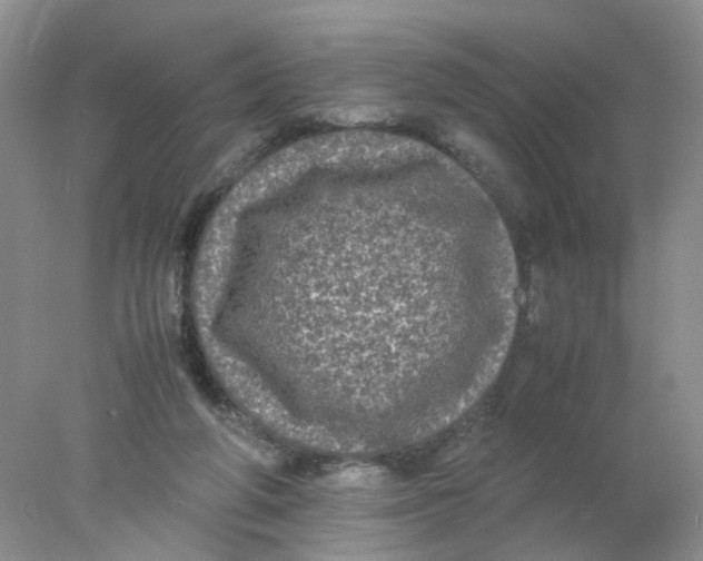 X0000078020210200611171921