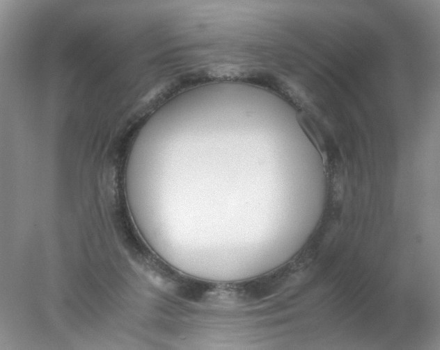 X0000078020211200611171921