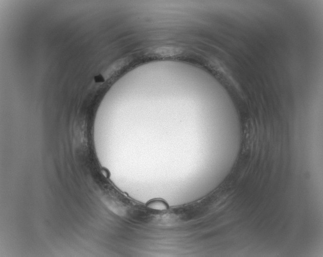 X0000078020212200611171921