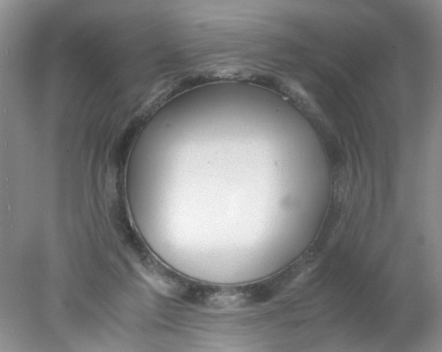 X0000078020213200611171921