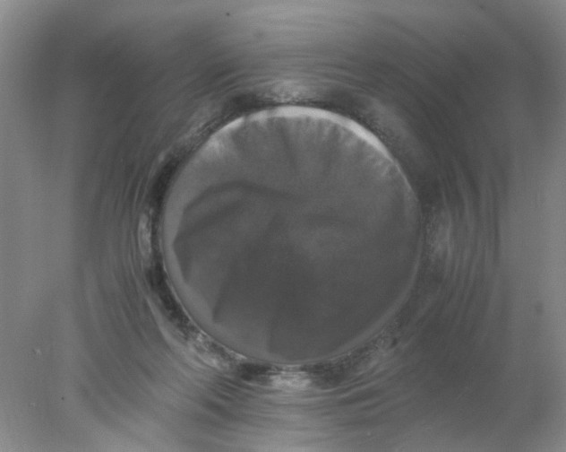 X0000078020214200611171921