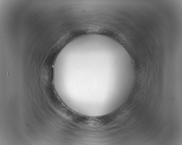 X0000078020215200611171921