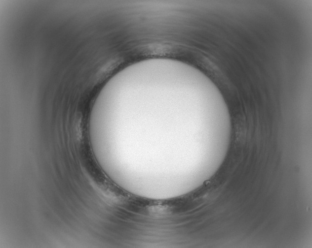 X0000078020216200611171921