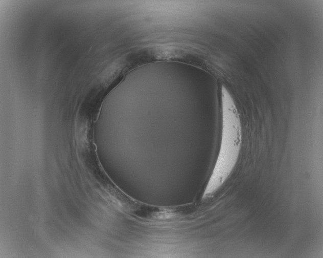 X0000078020219200611171921