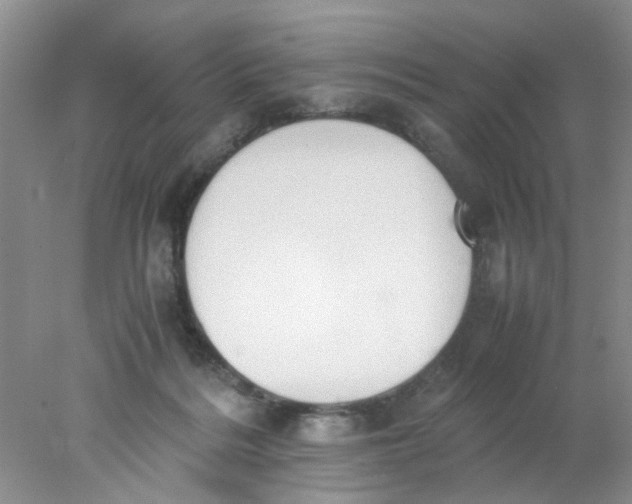 X0000078020220200611171921