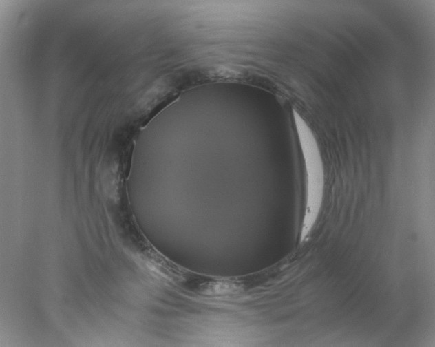 X0000078020223200611171921