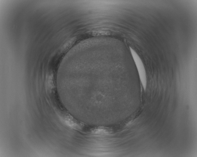 X0000078020224200611171921